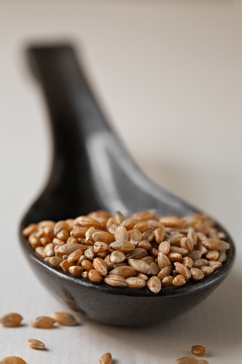 Farro Piccolo Anson Mills Artisan Mill Goods from Organic Heirloom Grains